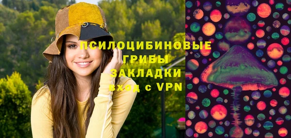 крисы Рославль
