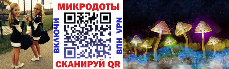 Псилоцибиновые грибы MAGIC MUSHROOMS  где найти   Шахунья 
