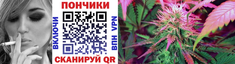Конопля SATIVA & INDICA хочу Шахунья